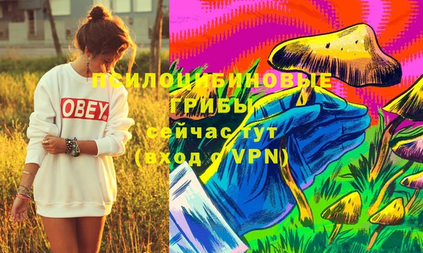 ECSTASY Баксан