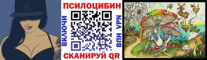 Галлюциногенные грибы Psilocybe  где купить наркоту  Голицыно 